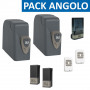 PACK ANGOLO: 2 Motoréducteurs à bras 24V avec platine NET24N, sans bras